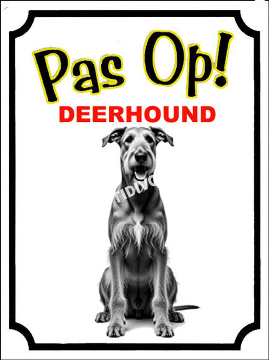 Deerhound 16