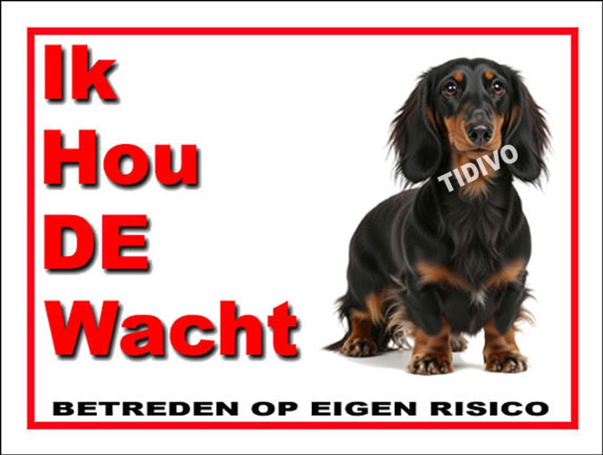 Dashond, Langhaar 7