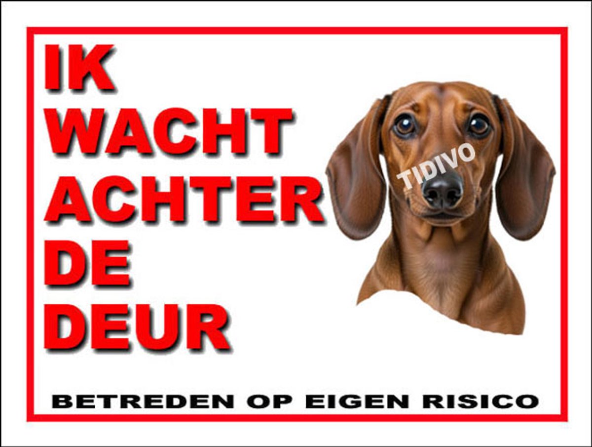 Dashond, Korhaar 10