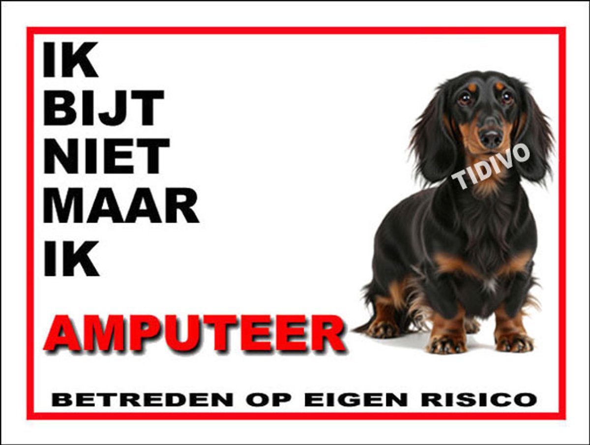 Dashond, Langhaar 5
