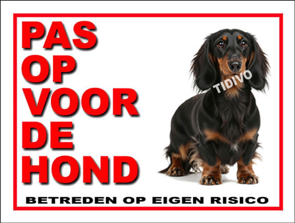 Dashond, Langhaar 13