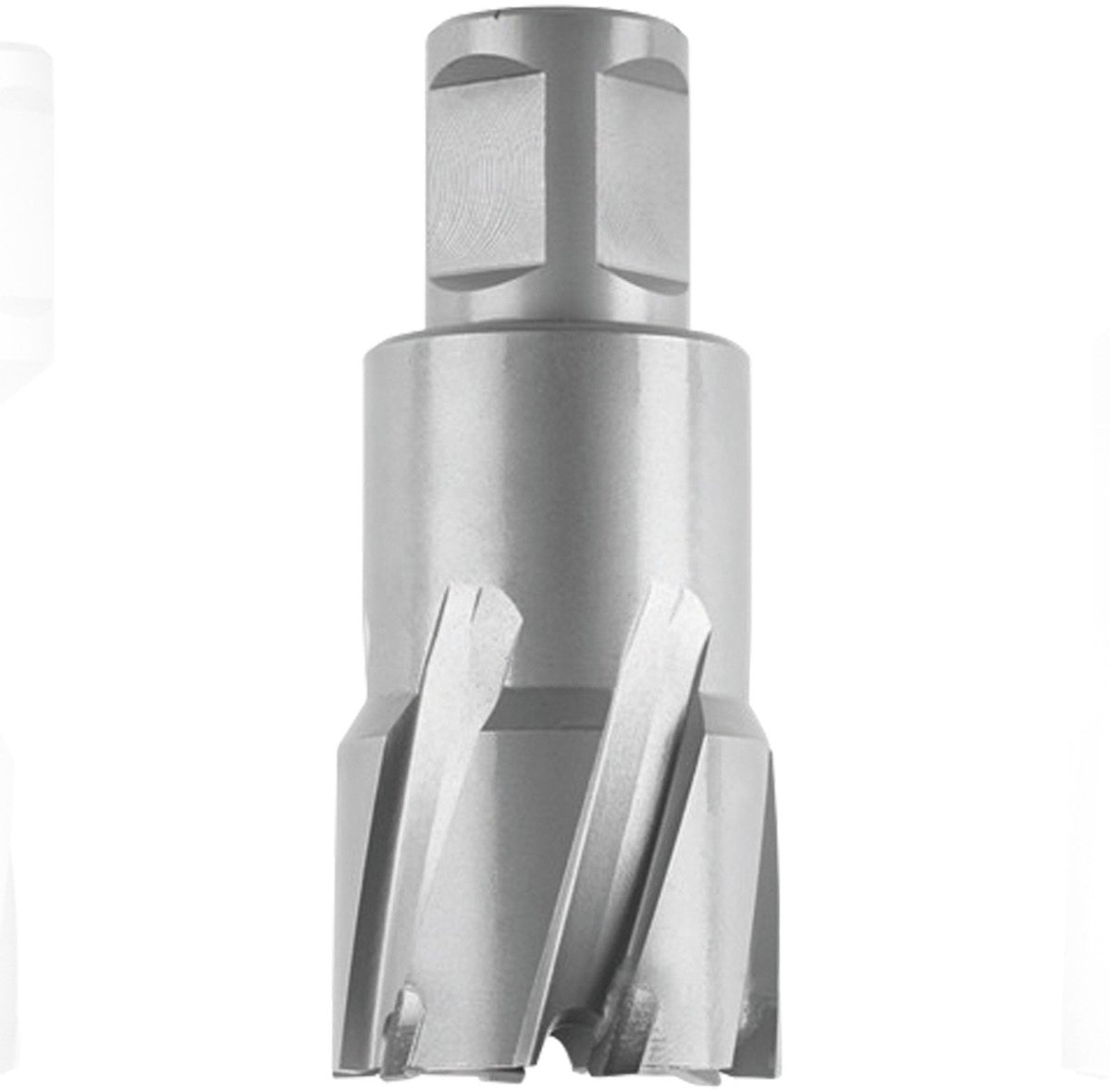 Fijn 1x HM Ultra 50 kernboor met 3/4" Weldon-opname boordiameter 19,5 mm - 63127830010