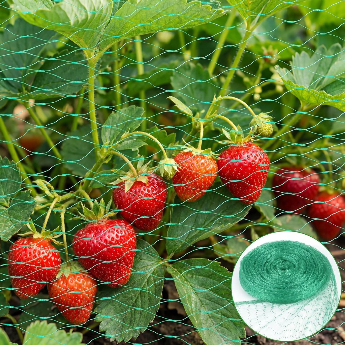 Vogelnet - 4 x 6 m vogelweringsnet - plantbeschermingsnet - vogelnetten voor vijvers - moestuinen, bloemen, struiken en fruitbomen (Groen – 4 x 6 m)