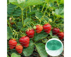 Groen vogelnet, 4 x 6 m vogelweringsnet, plantbeschermingsnet, vogelnetten voor vijvers, moestuinen, bloemen, struiken en fruitbomen (Groen – 4 x 6 m)