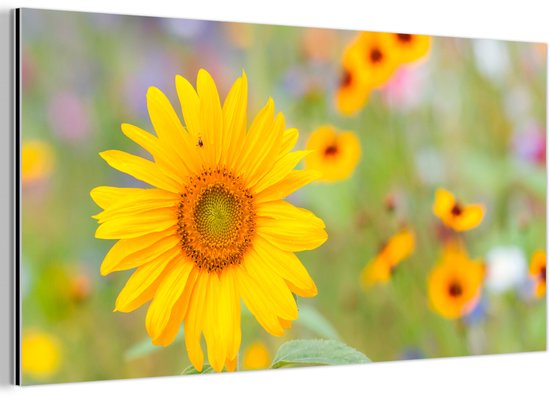 Aluminium schilderij 120x60 cm - Wanddecoratie metaal - Bloemen - Zonnebloem - Geel - Metalen muurdecoratie woonkamer - Decoratie industrieel - Foto op dibond - Industriële accessoires slaapkamer