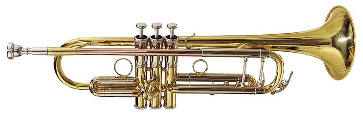 Stewart Ellis SE-2400-L Pro Series trompet goudlak incl. softcase