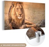 ® Tableau en verre 40x20 cm - Tableau en verre acrylique - Lion - Gros plan - Savane - Photo sur verre - Décoration murale salon - Décoration murale chambre - Tableaux