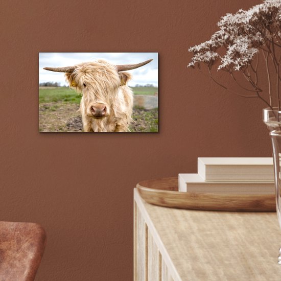Highlander écossais de couleur Wit dans le pré Aluminium 30x20 cm - petit - Tirage photo sur aluminium (décoration murale métal)