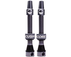 Cushcore Presta Tubeless Kleppen Zilver 55 mm