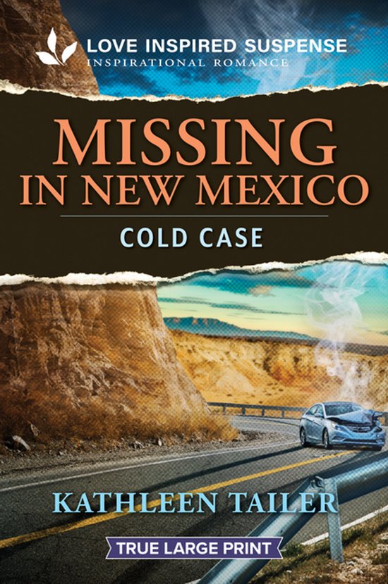 Missing in New Mexico - cover