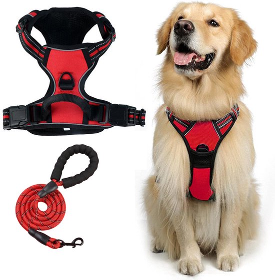 Harnais rouge pour chien aux accents noirs sur un Golden Retriever. À gauche, une laisse rouge enroulée et le harnais séparé.