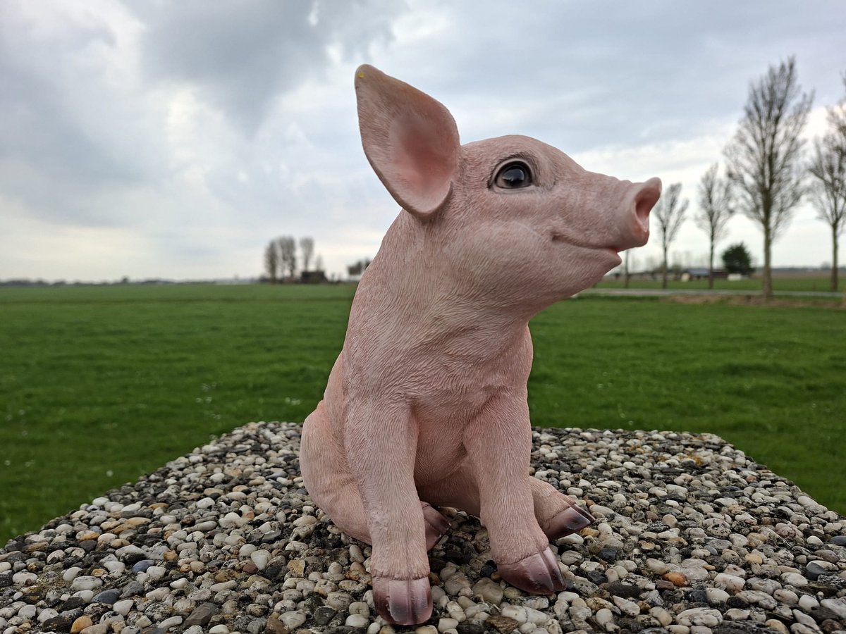 Vrolijk Zittend Varkentje – Realistisch Tuinbeeld – Polystone – 24 cm Hoog