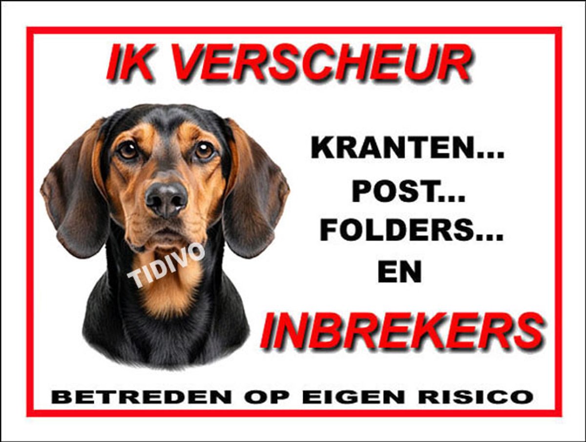 Schillerstövare 8