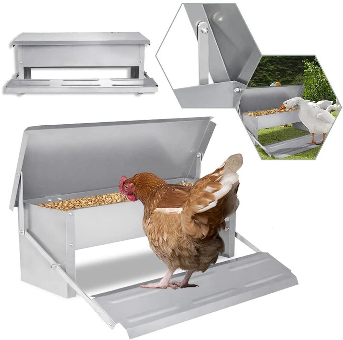 Voederautomaat Kippen - Voerdispenser Gevogelte - Voer Beschermen - Rattenbestendig Ontwerp - 5 kg Capaciteit - Zilver
