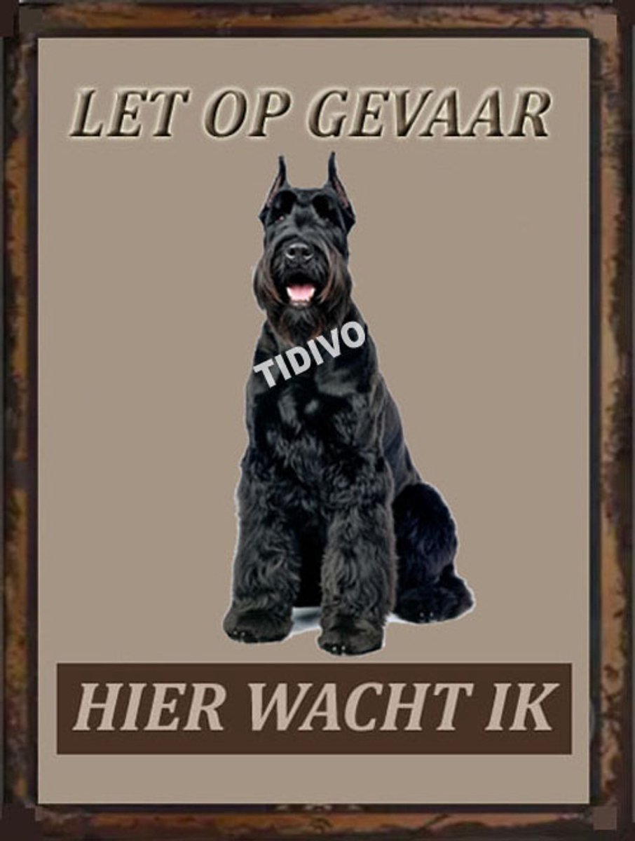 Riesenschnauzer 18