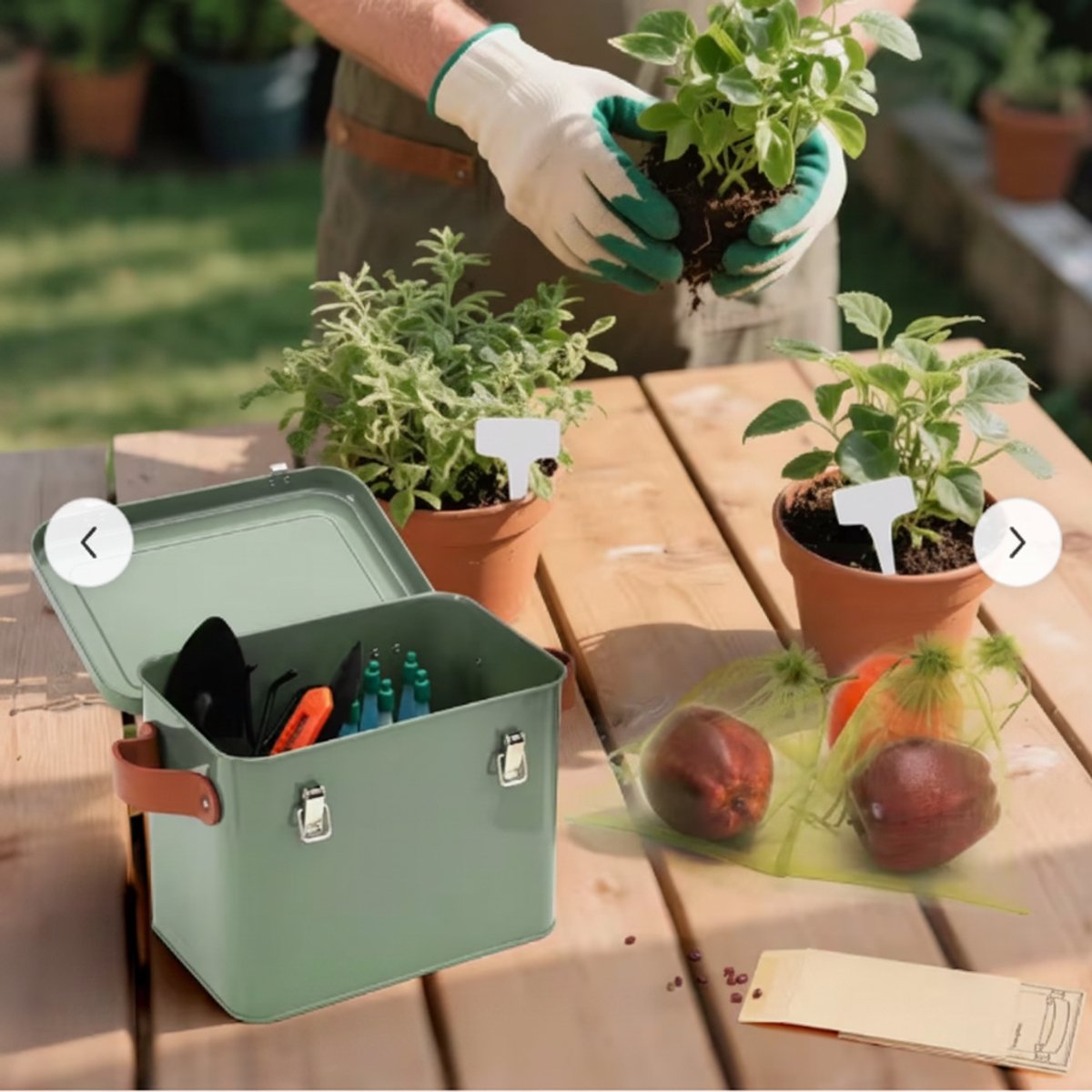 Metalen Zaadopbergdoos met Deksel en Slot – 3 Compartimenten – Inclusief 10 Fruitzakjes, 30 Plantlabels en 20 Zadenvelops