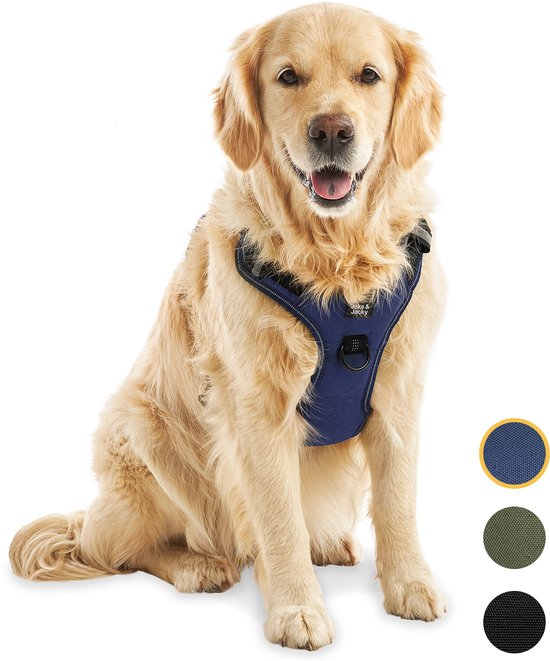 Blauw anti-trek hondentuigje, maat XL, met reflecterende details. Gouden retriever zit, hond draagt tuigje.