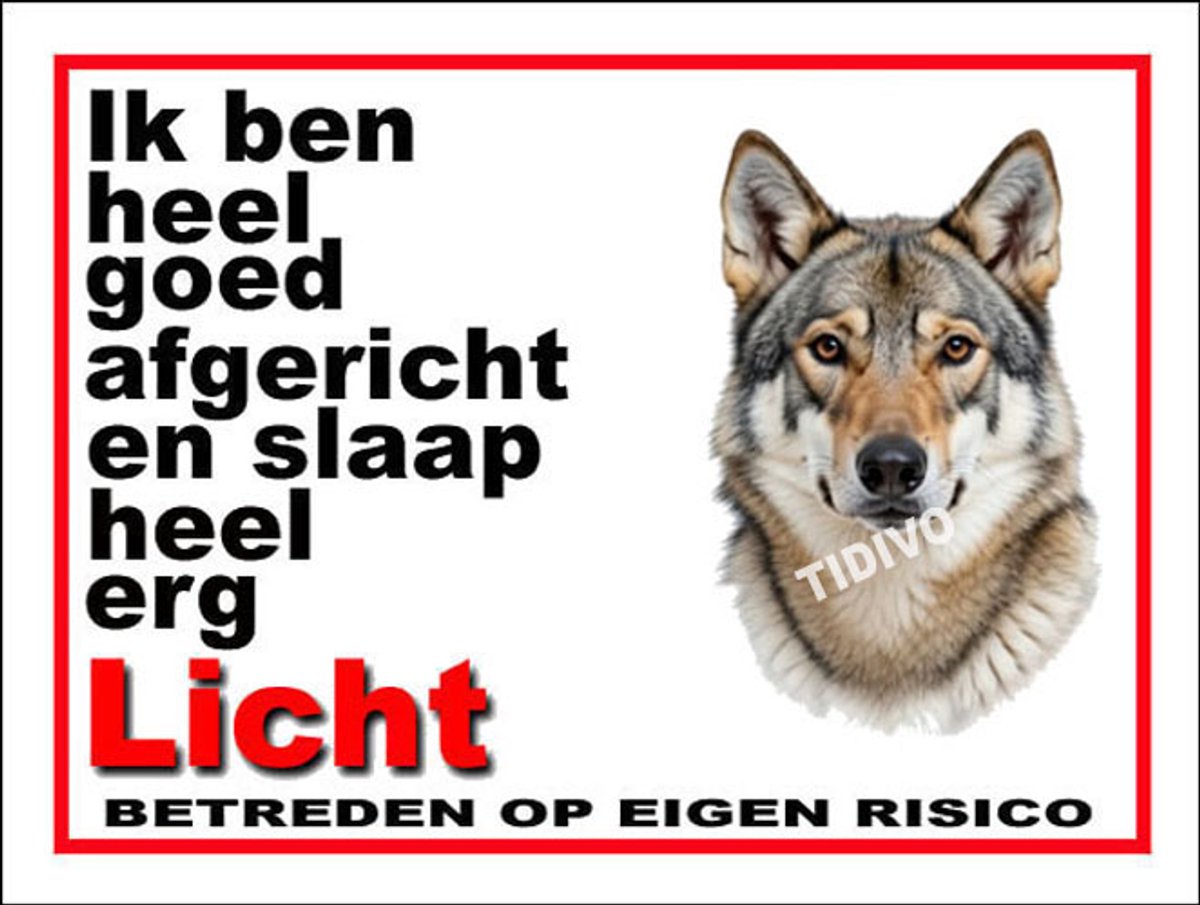 Saarlooswolfhond 4