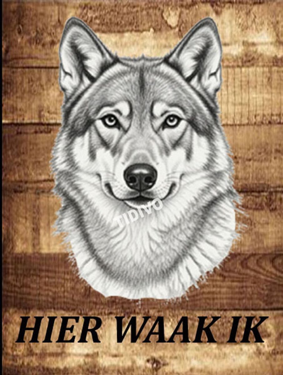 Saarlooswolfhond 20