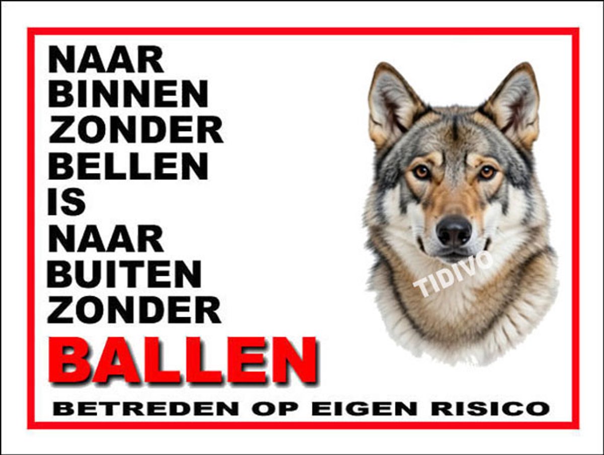 Saarlooswolfhond 11
