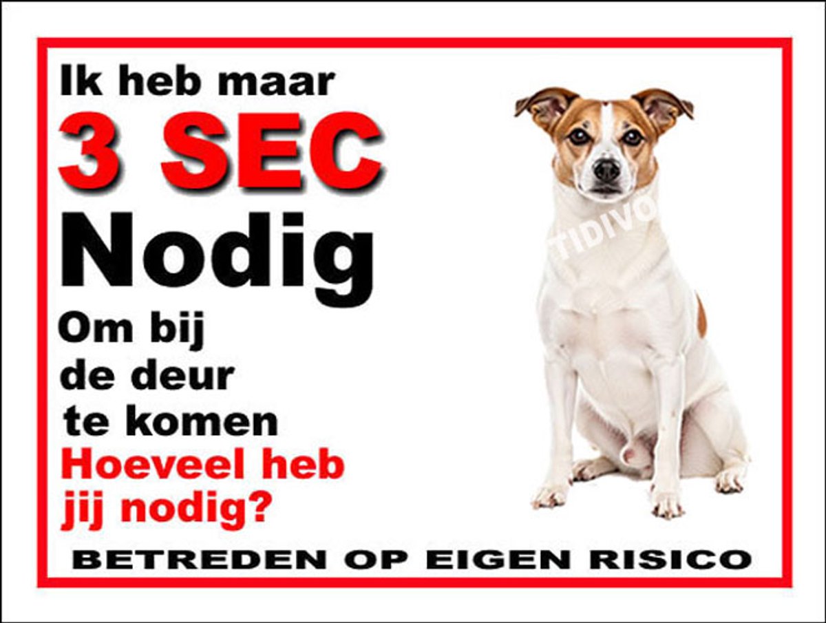 Norrbottenspets 6