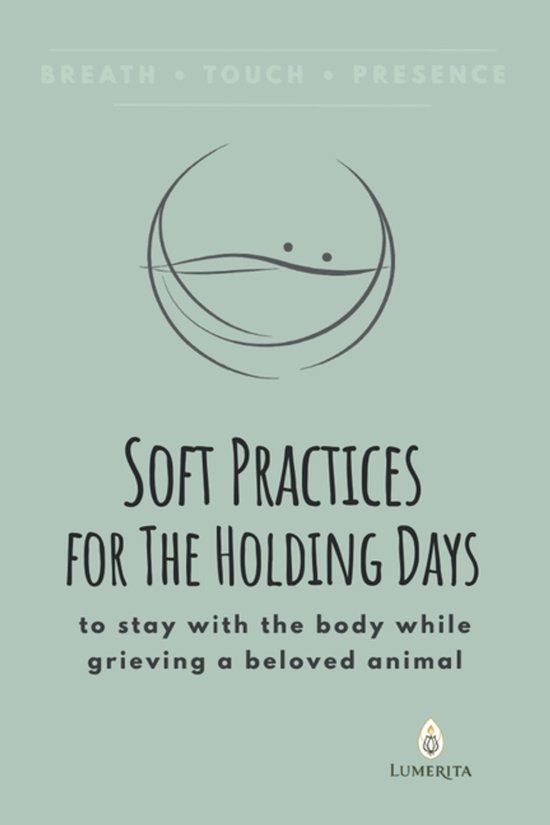 The Holding Days- Soft Practices for The Holding Days - cover