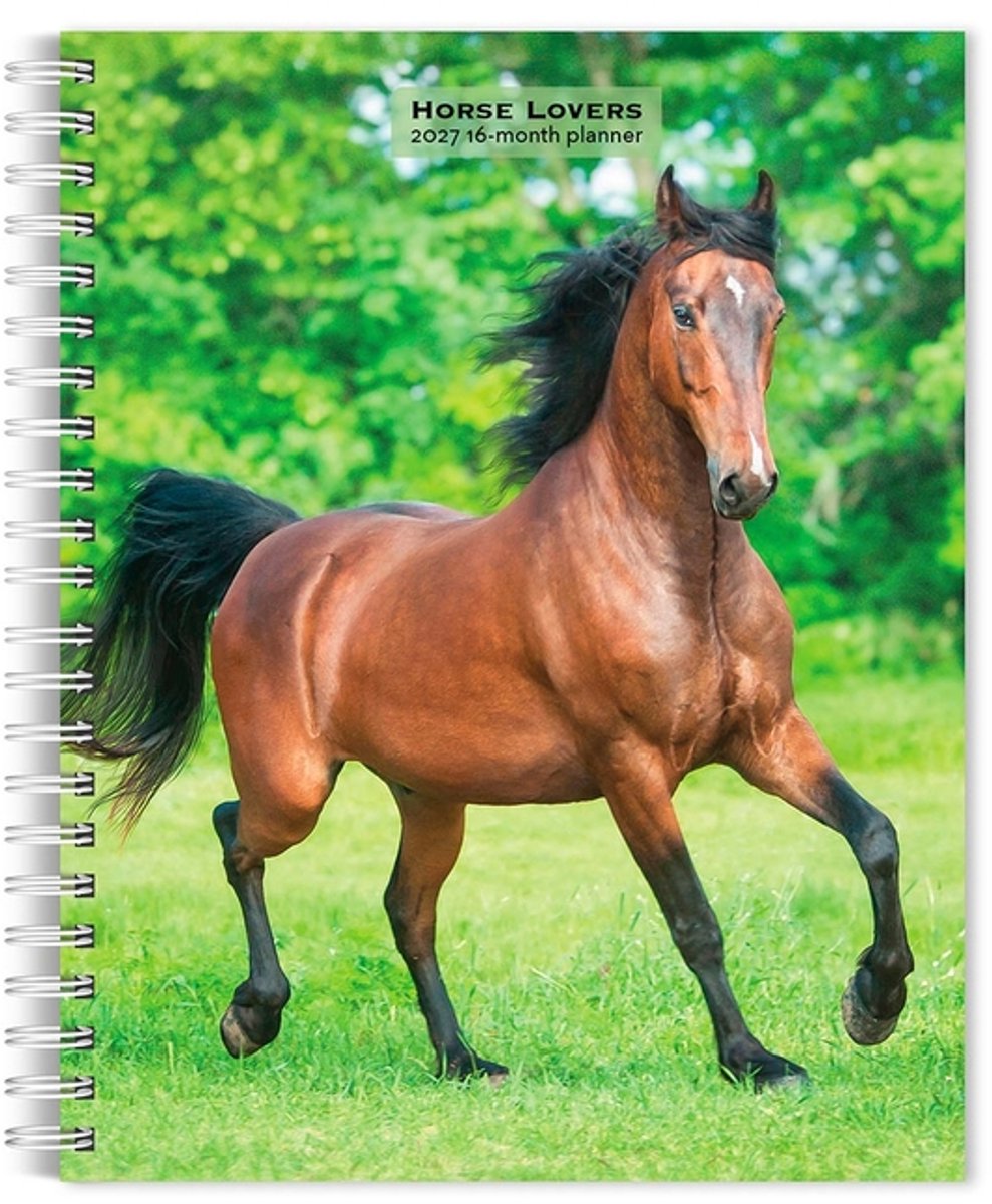 Paarden Agenda 2027