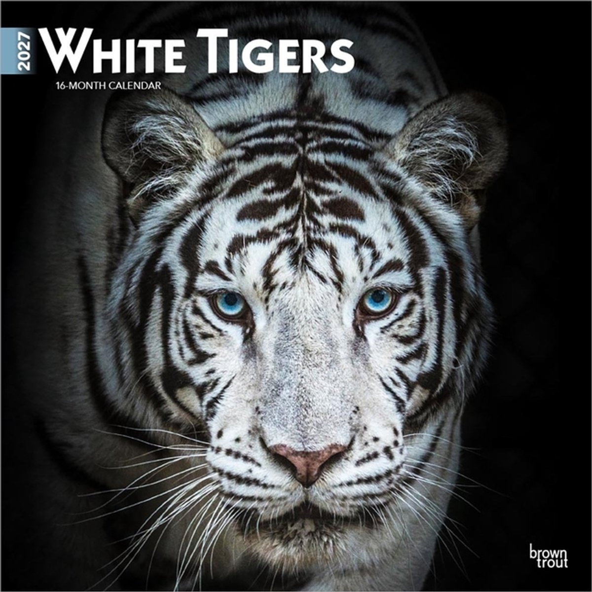 Witte Tijger Kalender 2027