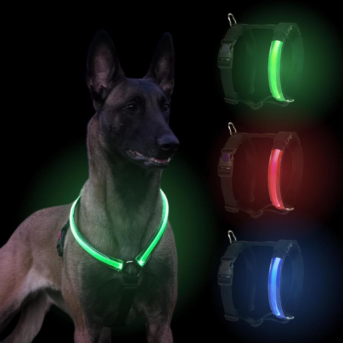 Hondenharnas LED - Honden tuigje - Veilig wandelen - Waterdicht met USB - Maat XS - Blauw