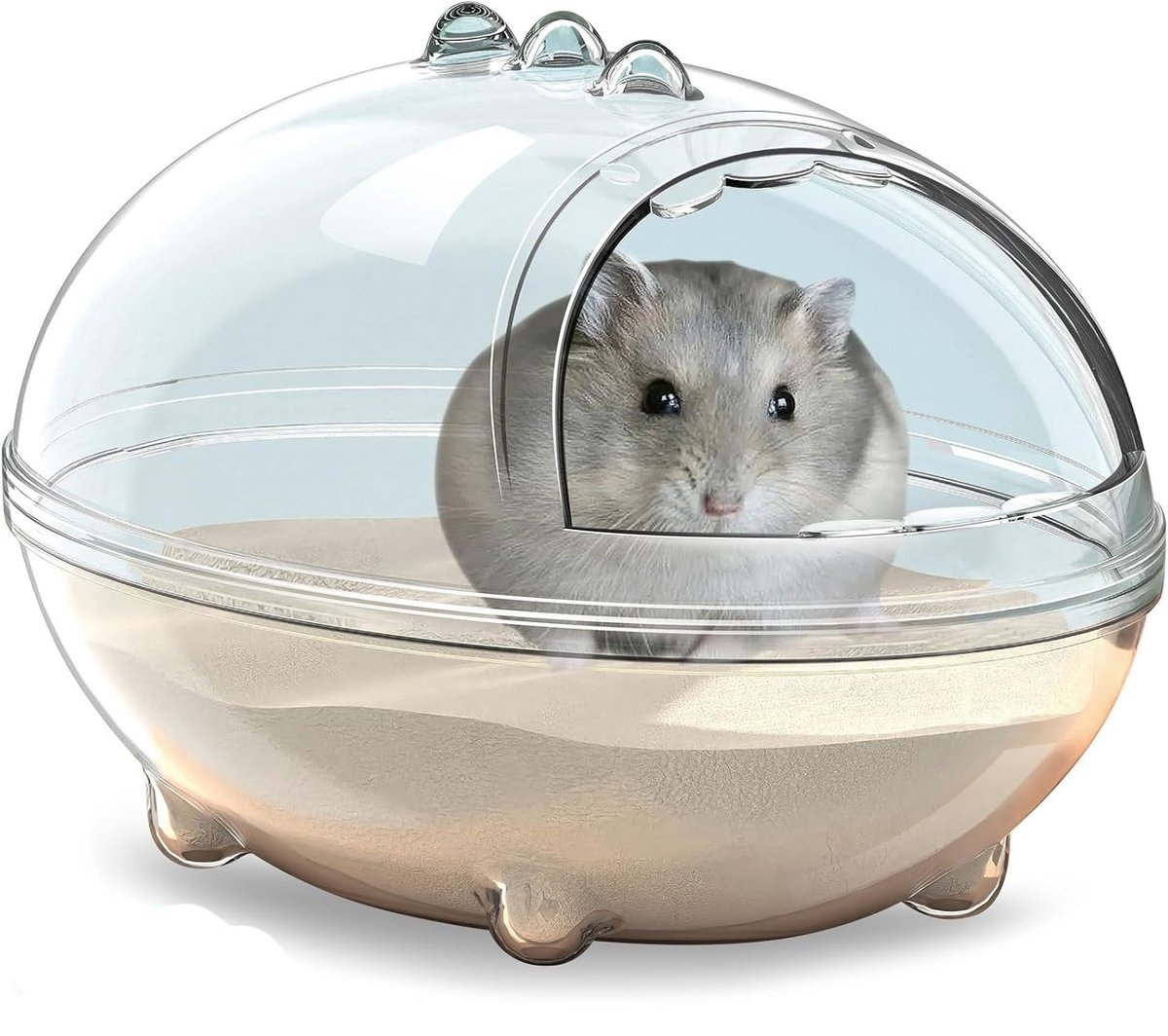 carmdering - Hamsterbad - Hamster Badewanne Box - Staubdichte Badewanne - 360° Panoramablick - Lekvrije Space Capsule - Transparant Acryl - Dinosauriër Ei Design - Veilig Graven En Spelen - 1 Stuk