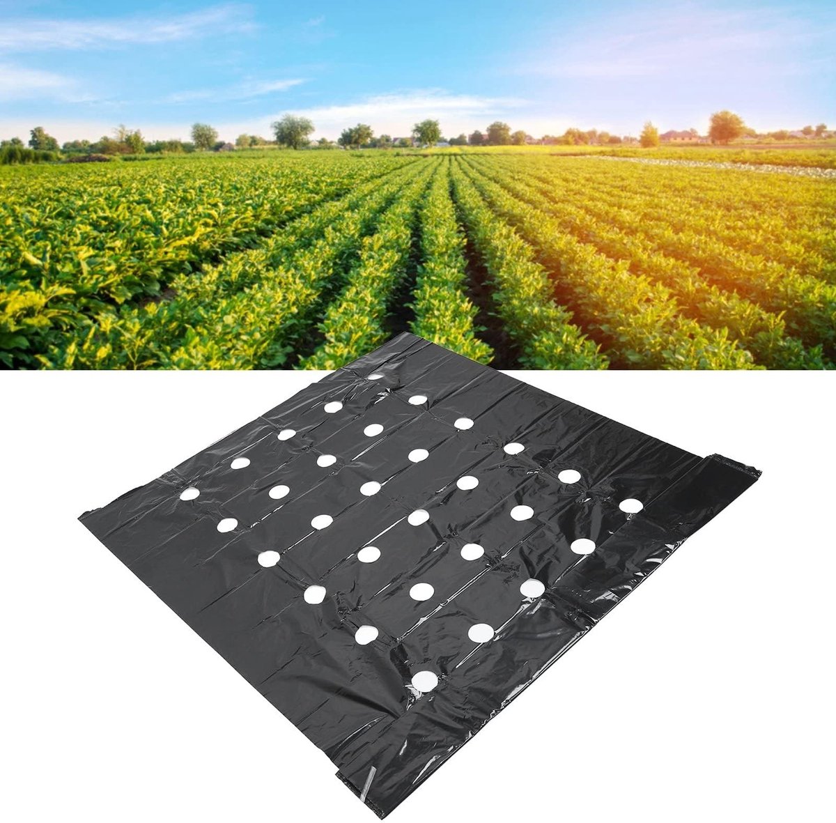 Perforated Compost Film - Zwarte Tuinafdichting voor Effectieve Onkruidbestrijding