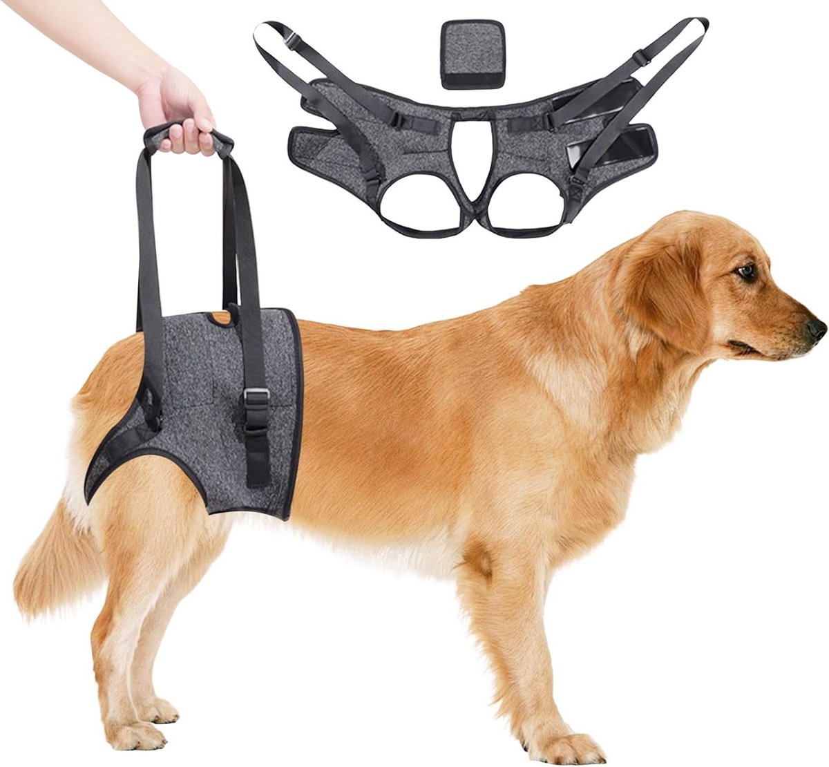 Hulpmiddel voor Honden, Draagbare Achterpoot Hondentuig, Verstelbaar Hondenlift Tuig voor Oudere en Gehandicapte Honden, Ideaal voor Mensen met Mobiliteitsproblemen, Grijs (XL)