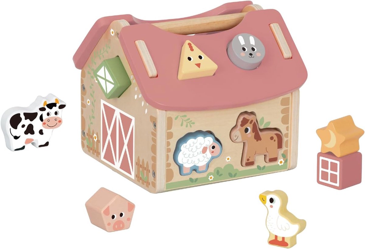 Houten Speelhuis Vormensorteerder - Educatief Speelgoed - Cognitieve Ontwikkeling - FSC Gecertificeerd Hout - 15 x 15 x 10 cm