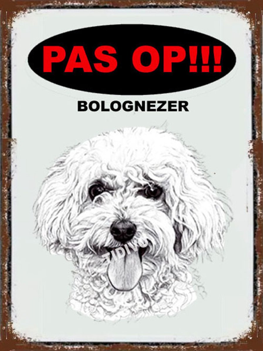 Bolognezer 17 – Met 4 Gaatjes + 4 Pluggen + 4 RVS Schroeven