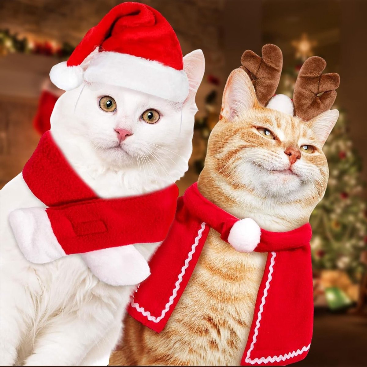 Kerstkostuums voor huisdieren met hoeden, sjaals en jassen - Perfecte outfits voor katten en honden tijdens de feestdagen