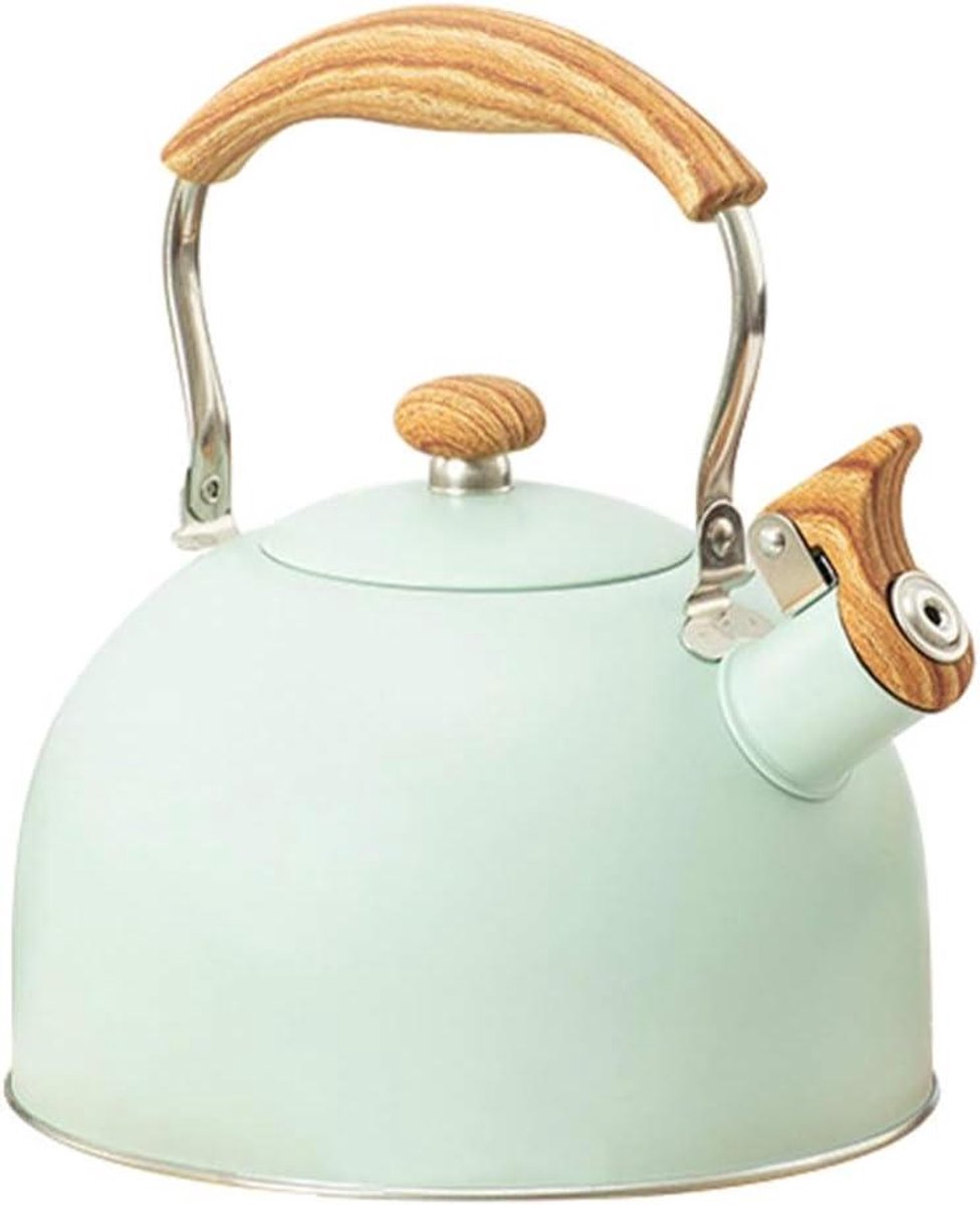 Fluitende Theeketel - Klassieke Ketel - Water Koken - Anti-heet Handvat - 22.50cm Hoog - G