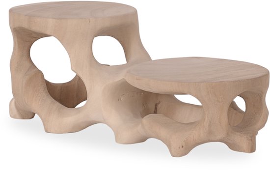 Bonsai Plantentafeltje van Teakhout – Decoratief Mini Tafeltje voor 2 Plantjes – Handgemaakt – 30 x 15 x 13 cm