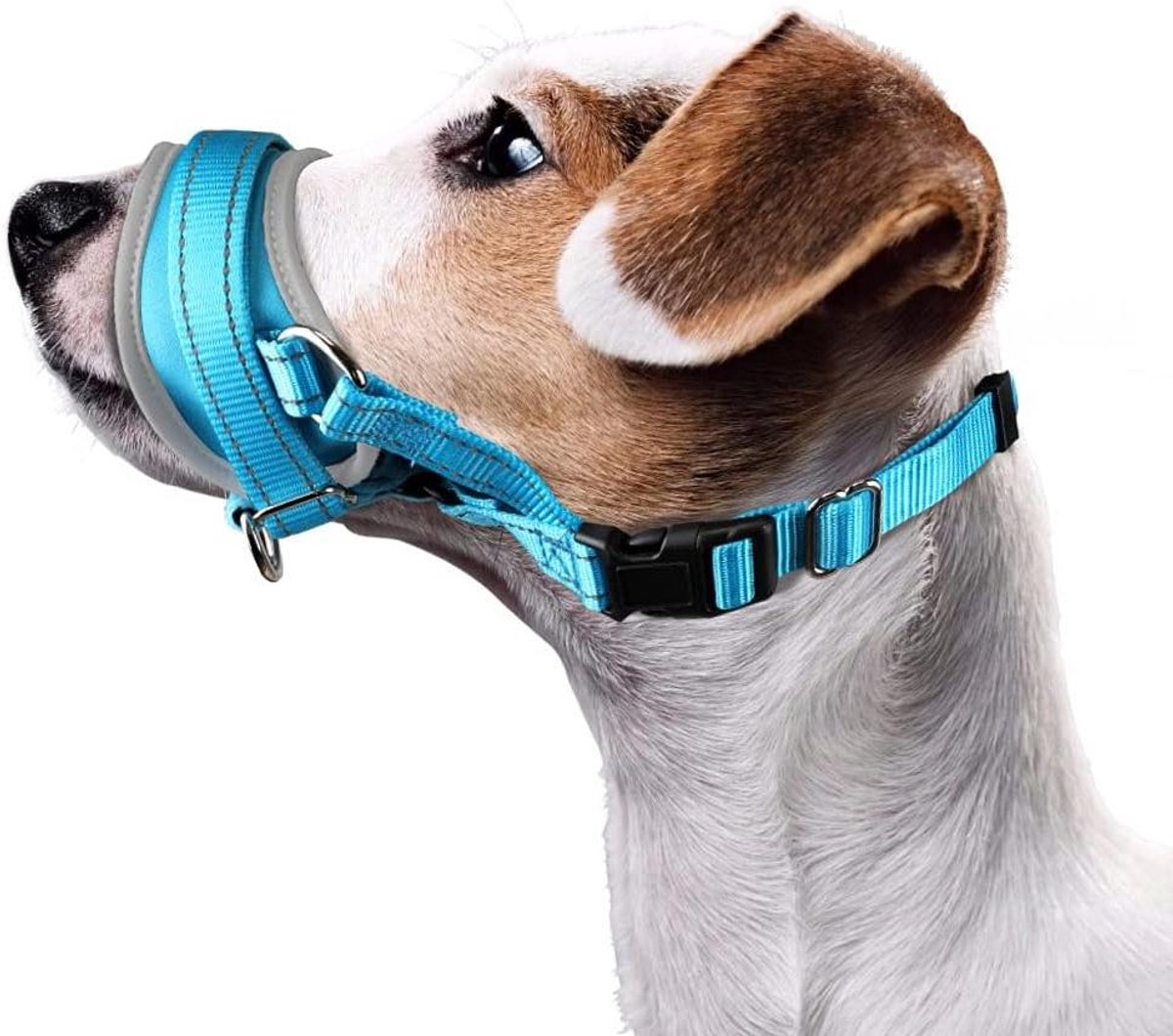 Honden muilkorf - Gebitsbeschermer hond - Gedragstraining hond - Verstelbaar met reflecterende strip - Maat L - Blauw