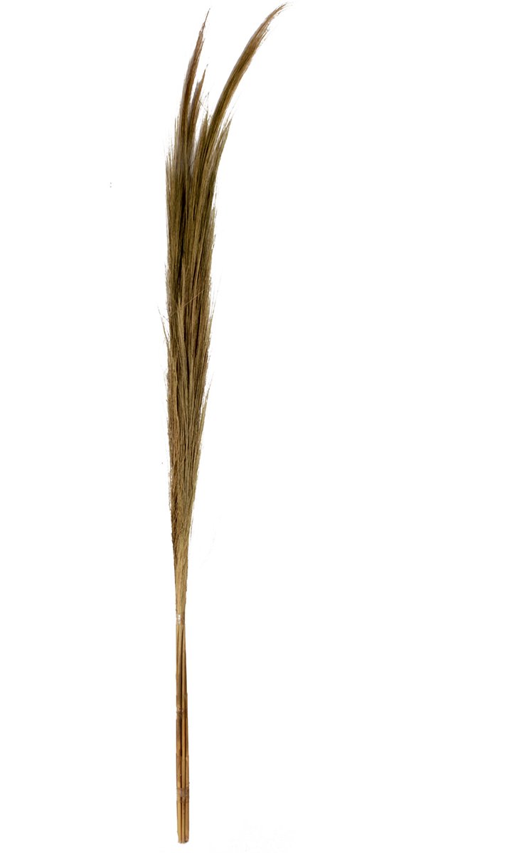J12 Kleine Hooi Bundel Naturel