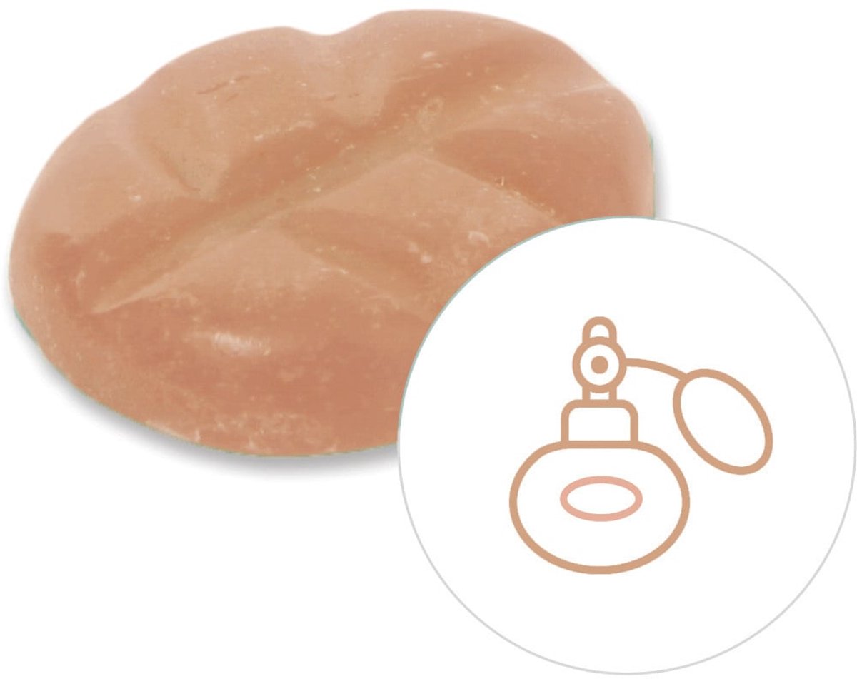 Scentchips® Ambre du Soir - Geurblokjes - Huisparfum - Geurchips - Waxmelts - Geschikt voor Geurbrander en Waxbrander - M - 13 Stuks