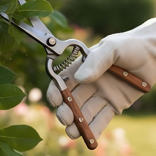 Tuin Snoeischaren - Handgereedschap Set - Takken Snoeien - Roestwerende Coating - 2 Stuks - Niet gespecificeerd — afbeelding 3