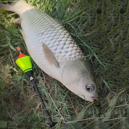 20 x 4 cm Angel Bobber visdobbers EVA Angel vlotter automatische visdobbers visdobbers vissen dobbers vissen dobbers vissen aan het meer, rivier of vijver — afbeelding 2