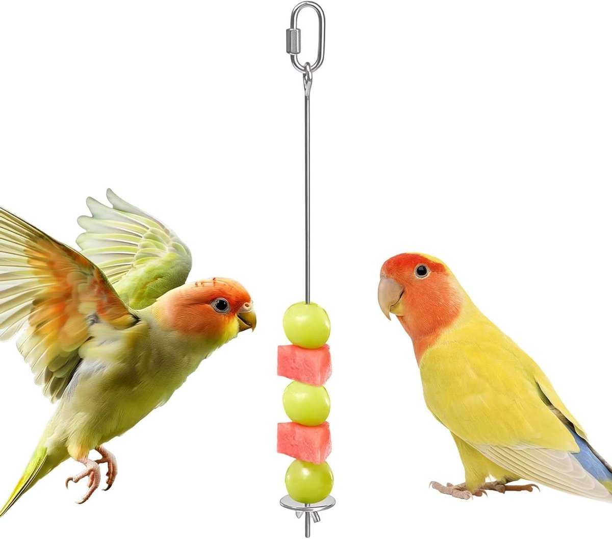 Voederspies Vogels - Snackhouder Dier - Vogel Voeden - Roestvrij Staal - 3 Maten - Zilver