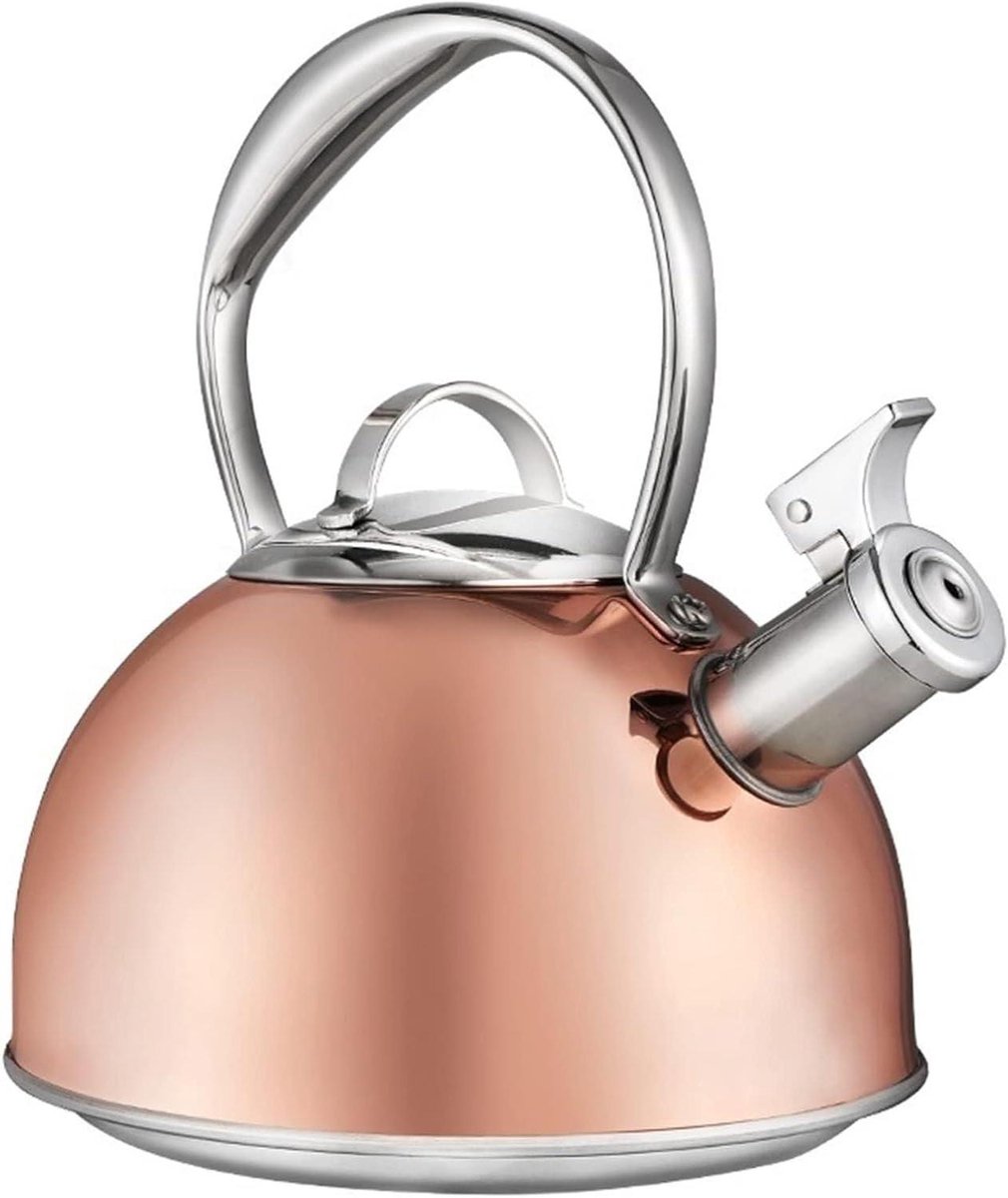 Theeketel Roestvrij Staal - Waterketel Kookplaat - Water Koken - Met Fluitfunctie - 3L Capaciteit - Wit