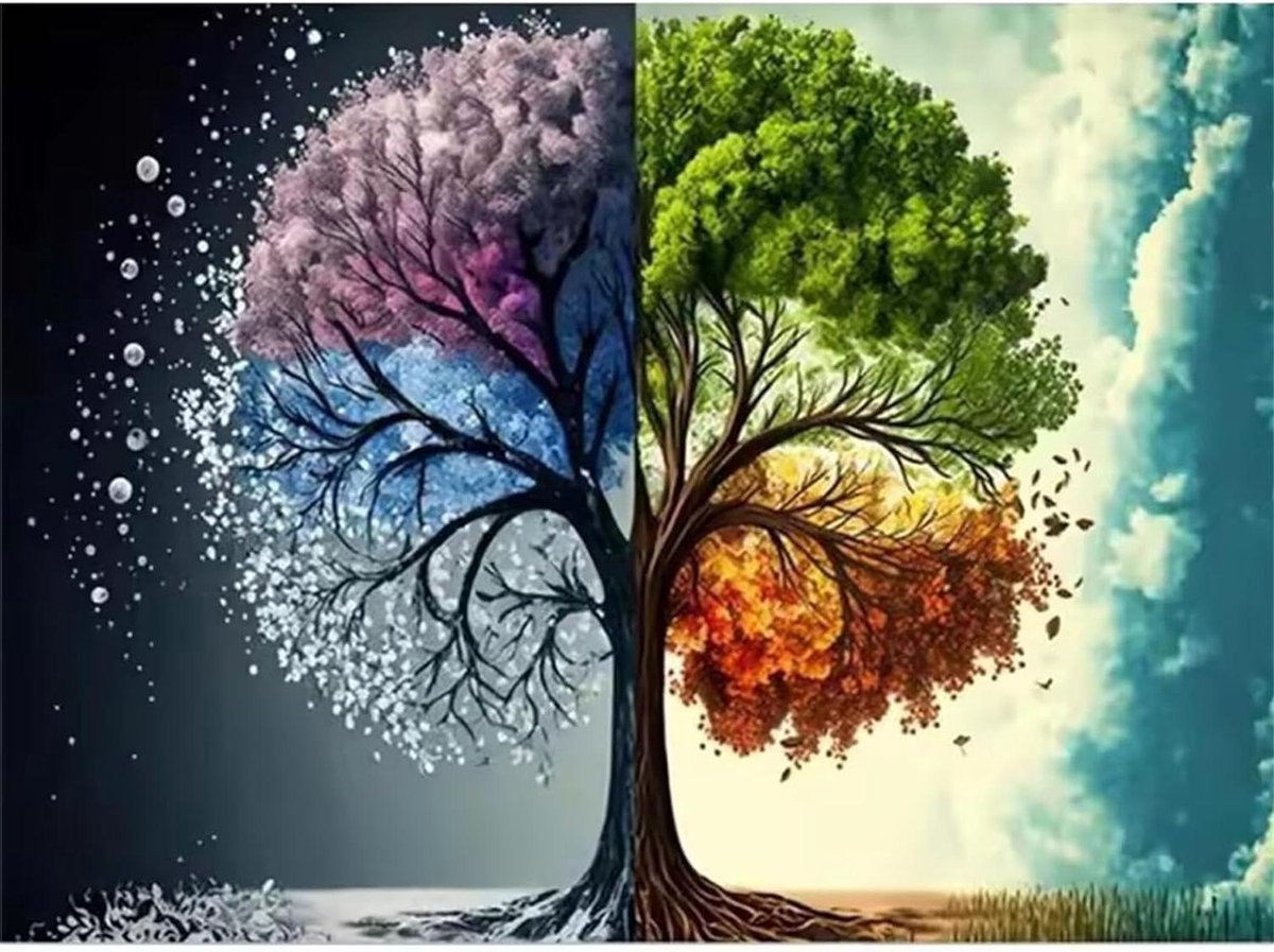 Puzzel Volwassenen - Legpuzzel - Ontspannend Tijdverdrijf - 1000 Stukjes - 50 x 75 cm - Kleurrijk