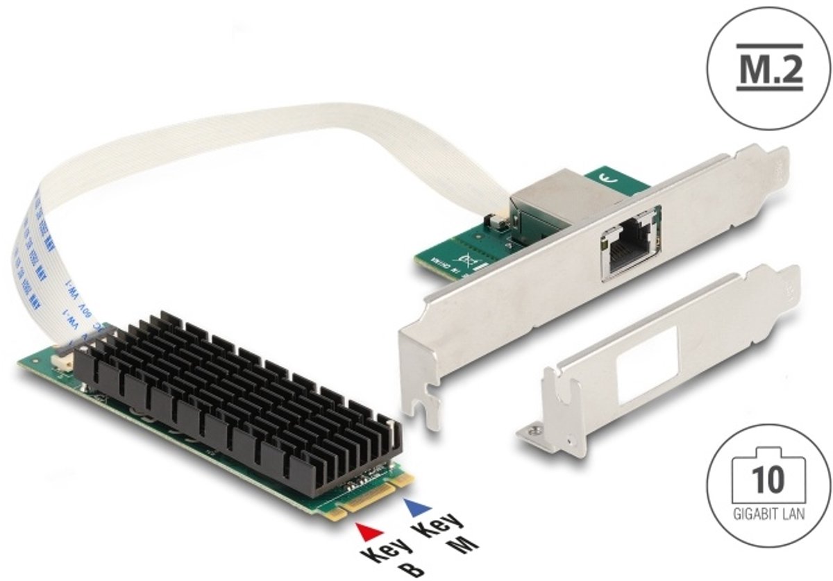 Delock M.2 Key B+M 1 x RJ45 10 Gigabit LAN Network Card