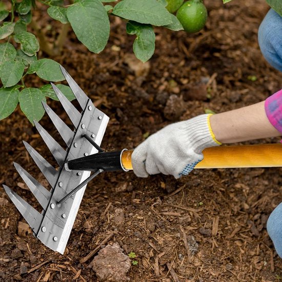 Onkruidhark Multifunctioneel - Gras Verwijderaar - Tuinonderhoud - Dubbelzijdig Ontwerp - 7 Tanden - Metaal van Merkloos	 — afbeelding 2