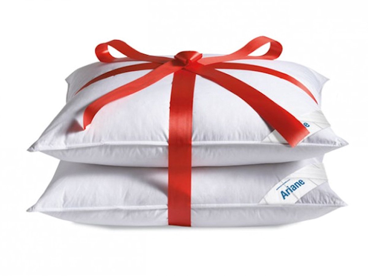 Altijdgoedslapen Hoofdkussen set (2) Ariane 15% dons extra dik gevuld 1400 gram 60x70 cm