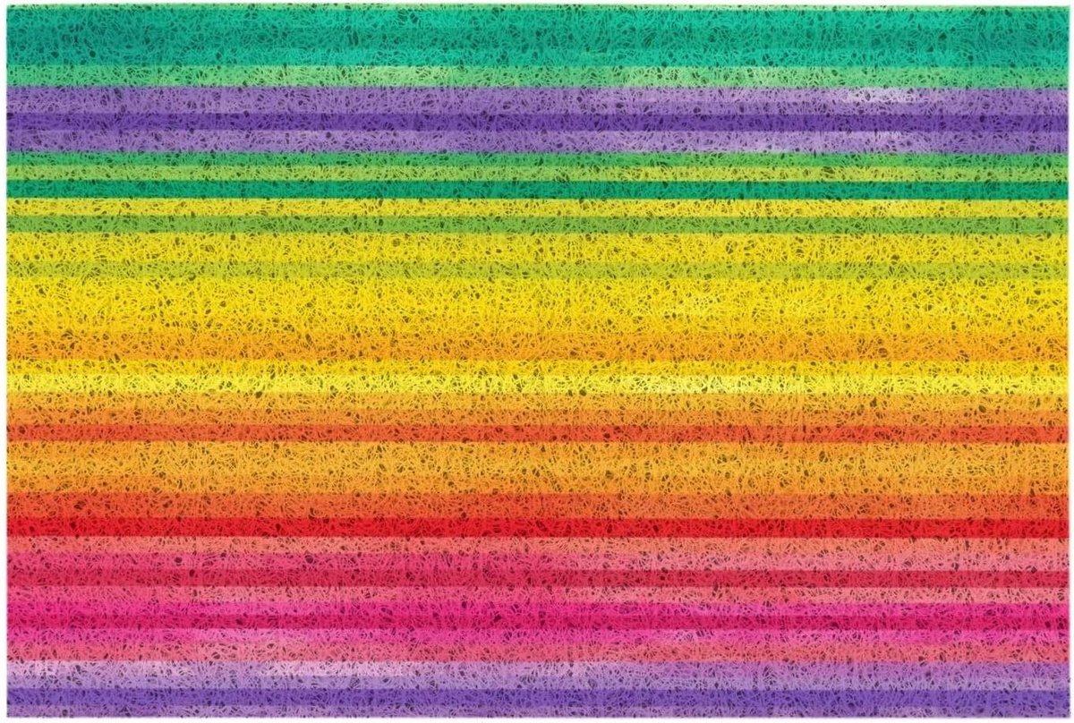 Binnendeurmat - Entree mat - Vloeren Schoonhouden - Antislip Achterkant - 40 x 60 cm - Ges