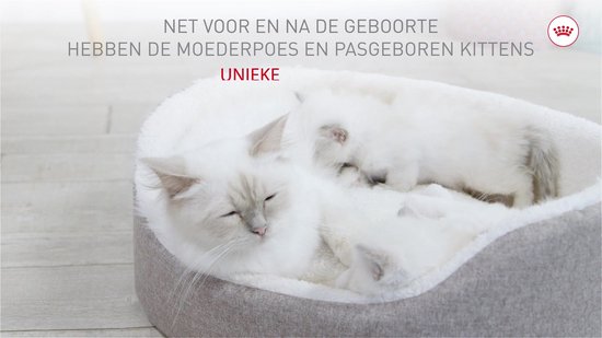 Royal Canin Mother & Babycat - 10 kg - Kitten-Kattenvoer